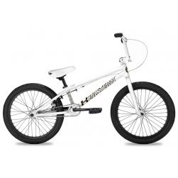 Eastern PAYDIRT 2021 20 white BMX bike